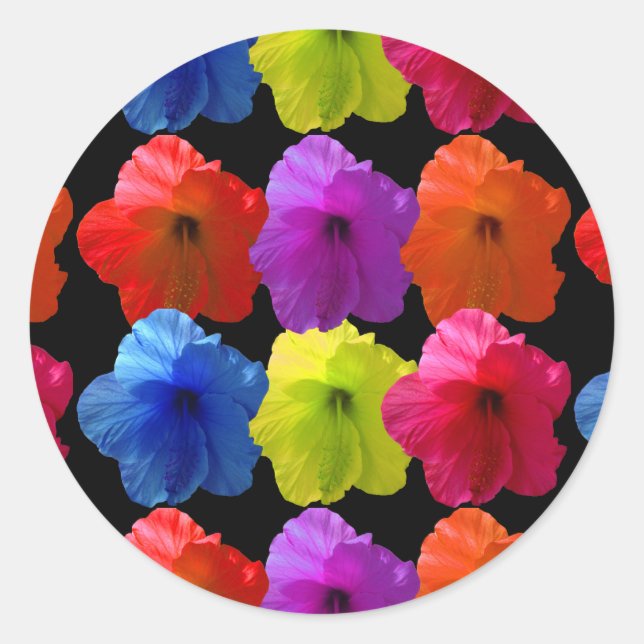 Sticker Rond Fleurs Hibiscus multicolores (Devant)