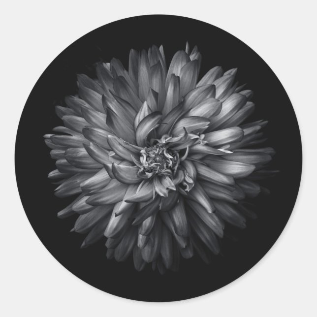 Sticker Rond Fleurs jardins En Noir Et Blanc 20 (Devant)