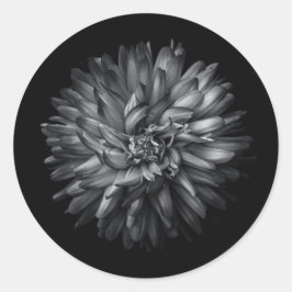 Sticker Rond Fleurs jardins En Noir Et Blanc 20