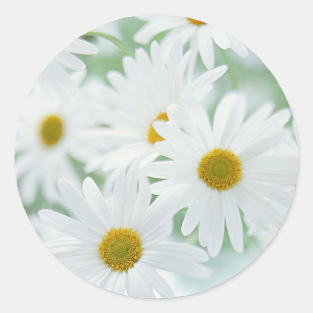 Sticker Rond Fleurs marguerites (Devant)