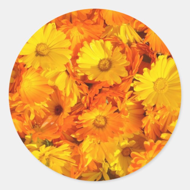 Sticker Rond Fleurs mariganes jaunes oranges (Devant)
