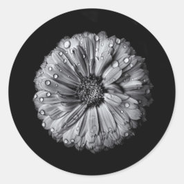 Sticker Rond Fleurs Noires Et Blanches 10