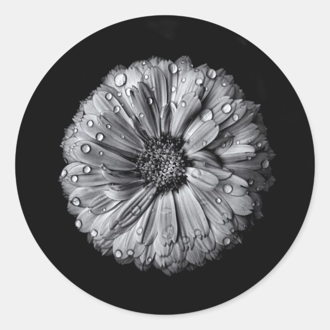 Sticker Rond Fleurs Noires Et Blanches 10 (Devant)