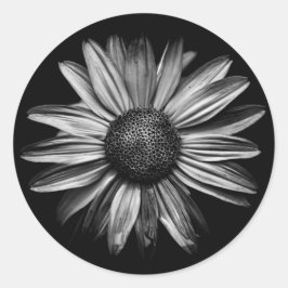 Sticker Rond Fleurs Noires Et Blanches 18