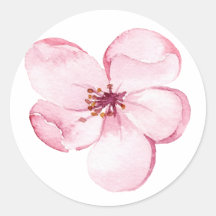 Fleurs roses
