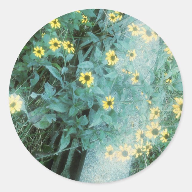 Sticker Rond Fleurs sauvages (Devant)
