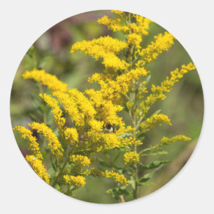 Sticker Rond Fleurs sauvages dorés