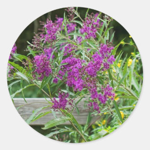 Sticker Rond Fleurs sauvages pourpres aux algues - Vernonia gig