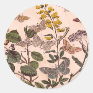 Sticker Rond Fleurs sauvages vintages d'illustrations florales