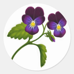 Sticker Rond Fleurs violettes de colza violet