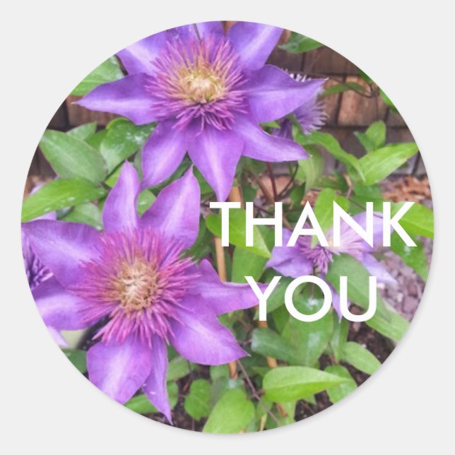 Sticker Rond Fleurs violettes Merci (Devant)