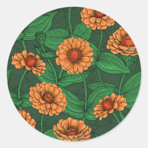 Sticker Rond Fleurs Zinnia orange, feuilles verts sur vert fonc
