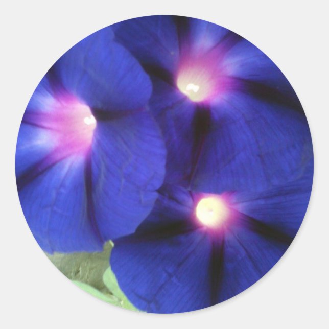 Sticker rond floral (Devant)