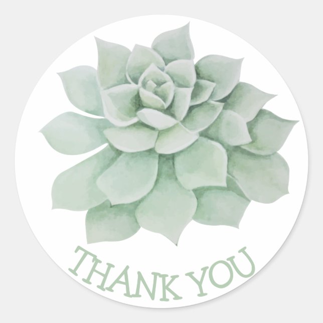 Sticker Rond Floral Merci Cactus Succulent Vert (Devant)
