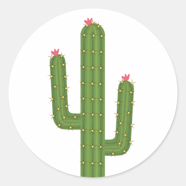 Sticker Rond Floral rose Aimer Vert Cactus Rose Fleurs (Devant)