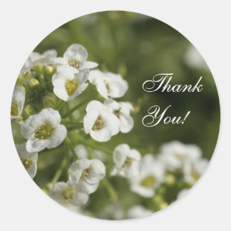 Sticker Rond Floral Thank