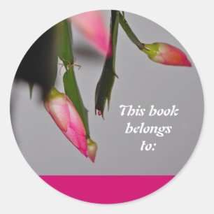 Sticker Rond Flower Cactus Christmas Bloom