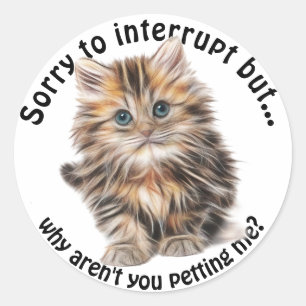 Sticker Rond Fluffy Kitty Funny Pet Me Citer