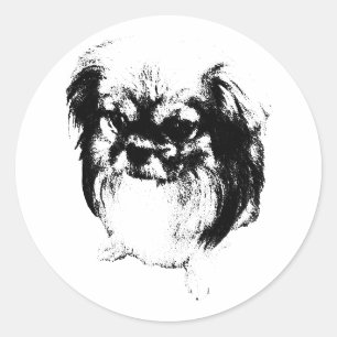 Sticker Rond Flux de sagesse