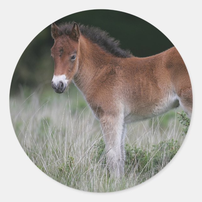Sticker Rond Foie debout (Devant)