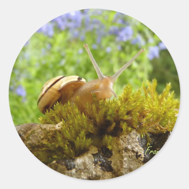 Sticker Rond foin pour la journée de l'escargot ! (Devant)
