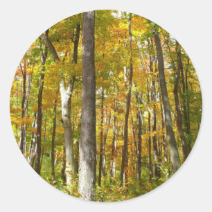 Sticker Rond Forêt du paysage d'automne Feuille Jaune