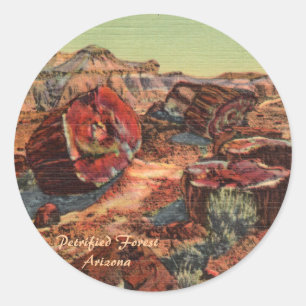Sticker Rond Forêt pétrifiée Arizona
