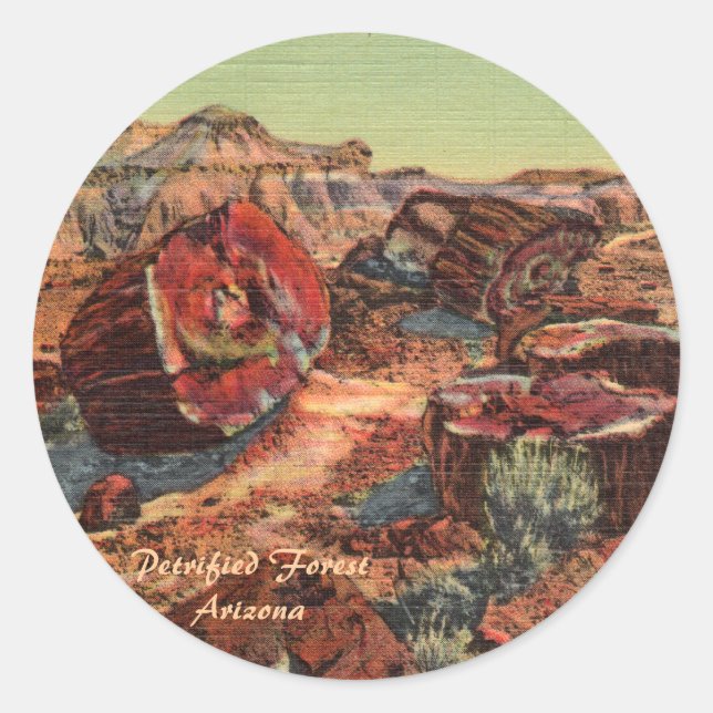 Sticker Rond Forêt pétrifiée Arizona (Devant)