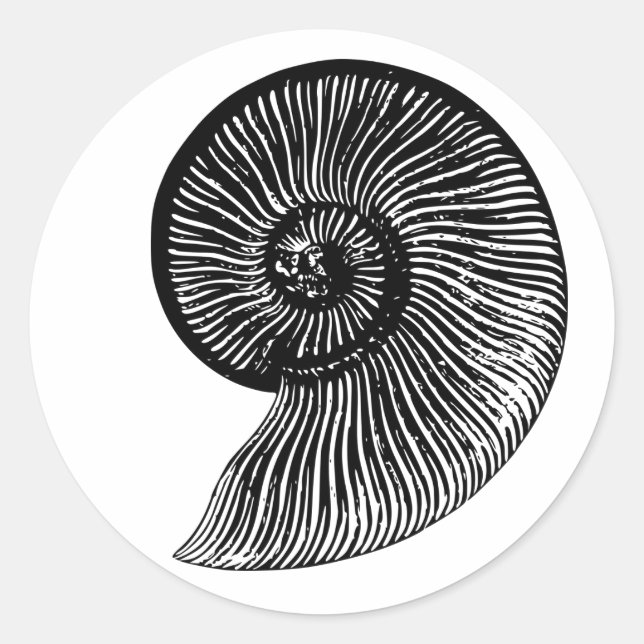 Sticker Rond Fossile ammonite (Devant)