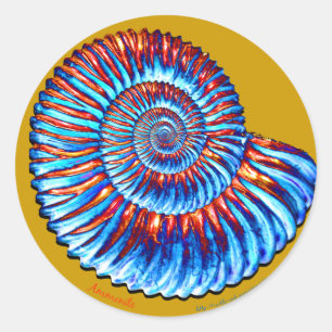 Sticker Rond Fossile d'ammonite