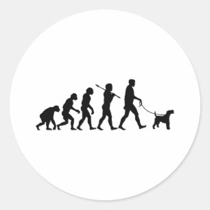 Sticker Rond Fox Terrier de fil