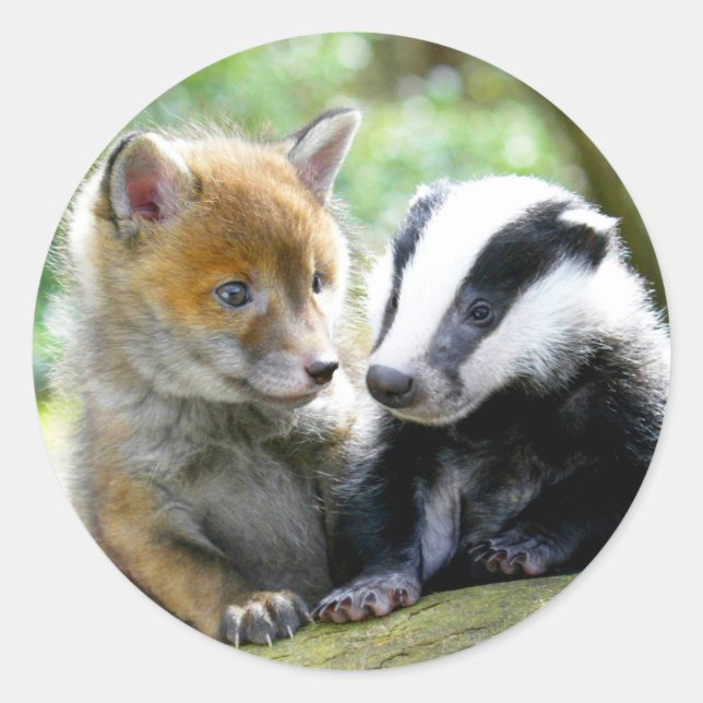 Sticker Rond Foxcub & Badger Cute ! (Devant)