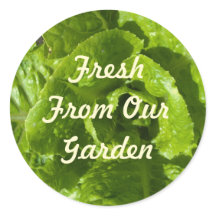 Frais De Notre Modèle De Jardin