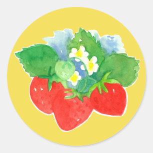 Sticker Rond Fraises Fleurs Fruit Aquarelle