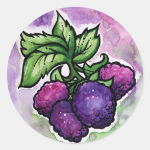 Sticker Rond Framboises noires mignonnes framboises pourpres