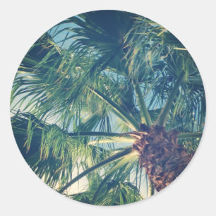 Sticker Rond Frondes de palmier