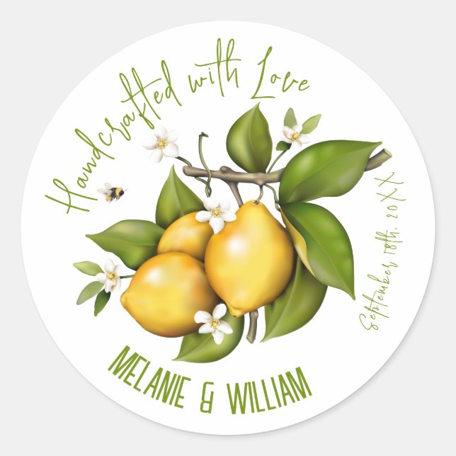Sticker Rond Fruit botanique du citron (Devant)