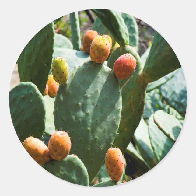 Sticker Rond Fruit de cactus à poires (Devant)