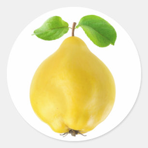 Sticker Rond Fruit de coing