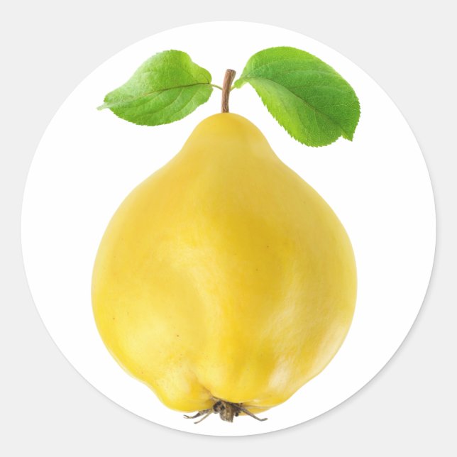 Sticker Rond Fruit de coing (Devant)