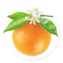 Fruits et fleurs d'orange