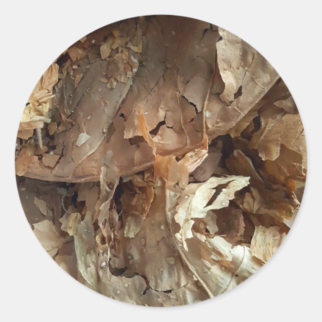 Sticker Rond Fumeurs de cigares Texture feuille de tabac (Devant)