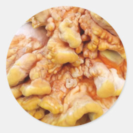 Sticker Rond Fungus orange