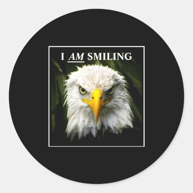 Sticker Rond Funny I Am Smiling Mpy Eagle Photo  (Devant)