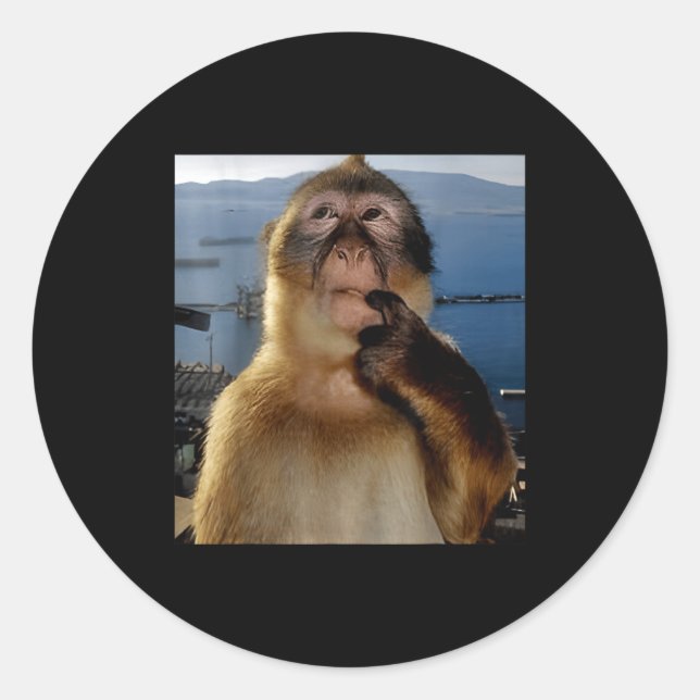 Sticker Rond Funny Thinking Monkey Meme Curious Ape Brainrot Gi (Devant)