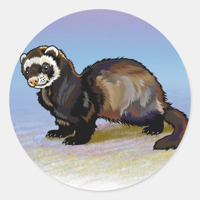 Sticker Rond furet (Devant)
