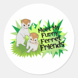 Sticker Rond Furry Ferret Friends