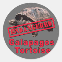 Galapagos Tortoise Tshirts d'art en voie de dispar