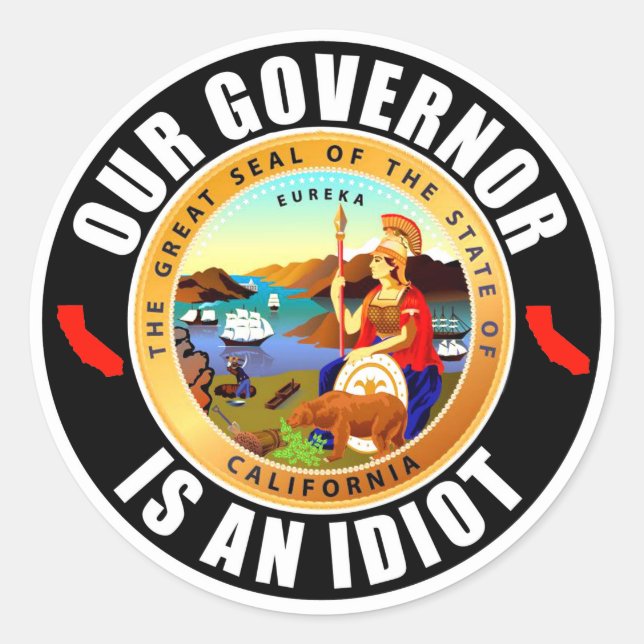 Sticker Rond Gavin Newsom est un idiot (Devant)