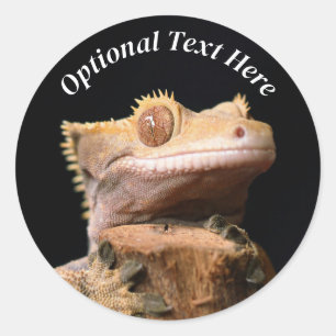 Sticker Rond Gecko Lizard en crête sur noir